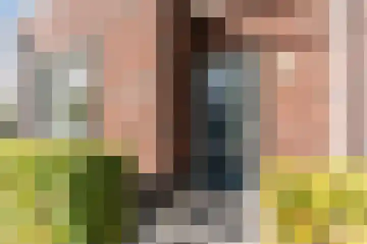Hermelijnzoom 16 Pijnacker thumbnail 5