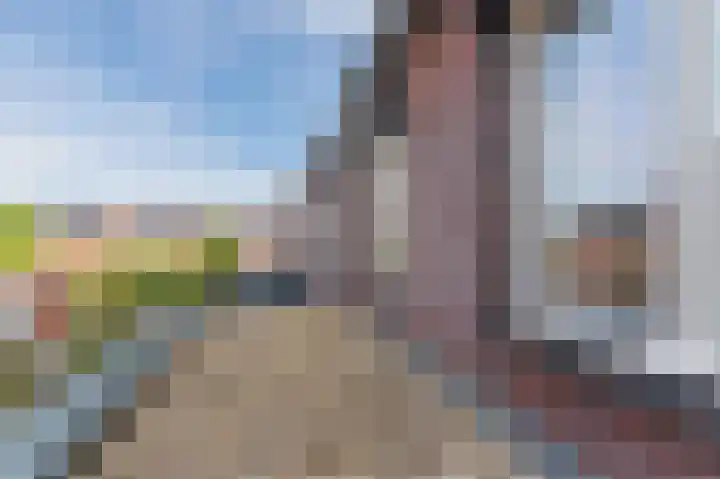 Hermelijnzoom 16 Pijnacker thumbnail 50