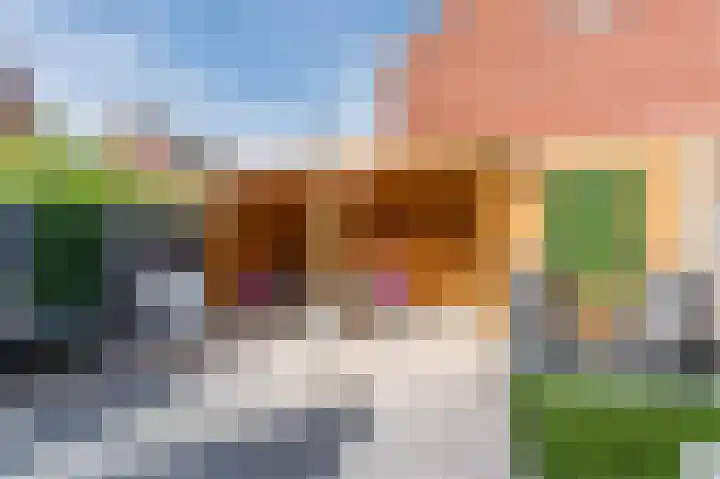 Hermelijnzoom 16 Pijnacker thumbnail 51