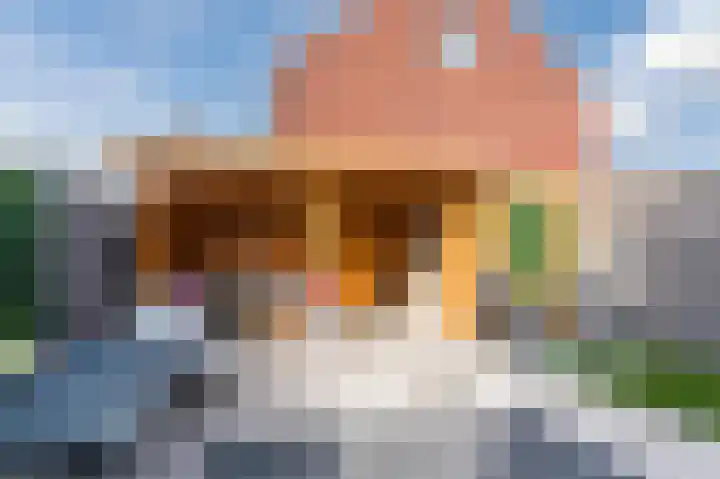 Hermelijnzoom 16 Pijnacker thumbnail 52