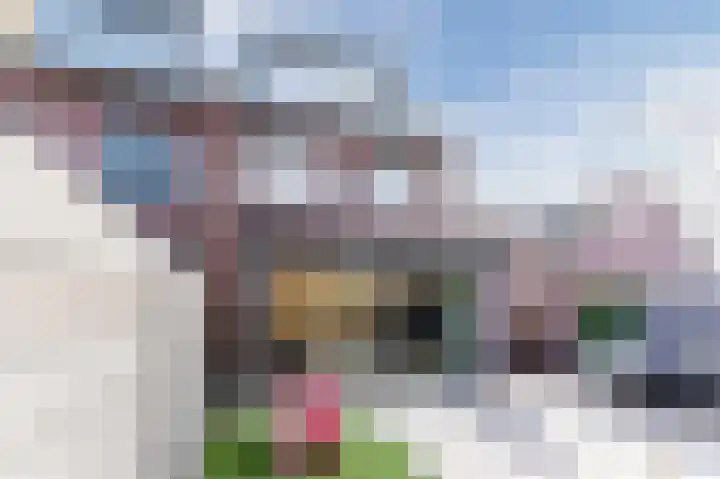 Hermelijnzoom 16 Pijnacker thumbnail 57