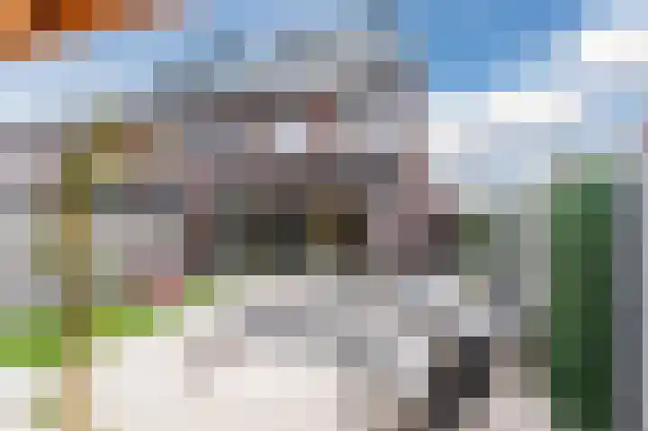 Hermelijnzoom 16 Pijnacker thumbnail 58