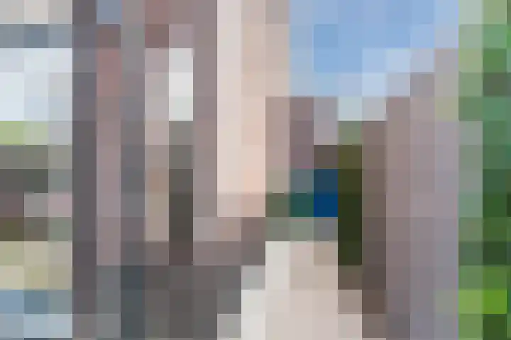 Hermelijnzoom 16 Pijnacker thumbnail 59