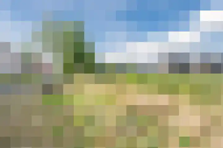 Hermelijnzoom 16 Pijnacker thumbnail 63