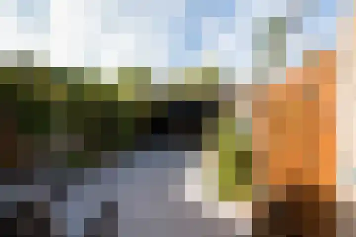 Hermes 12 Hellevoetsluis thumbnail 29