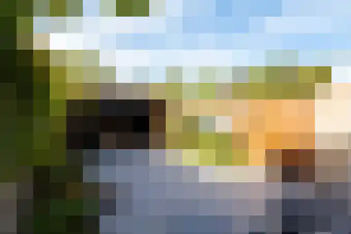 Hermes 12 Hellevoetsluis thumbnail 4