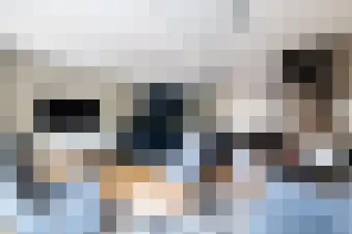 Hermes 12 Hellevoetsluis thumbnail 6