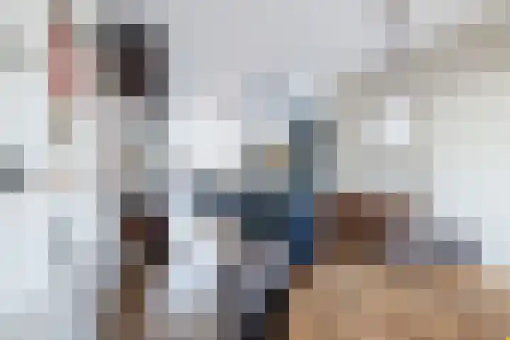 Hermes 12 Hellevoetsluis thumbnail 9
