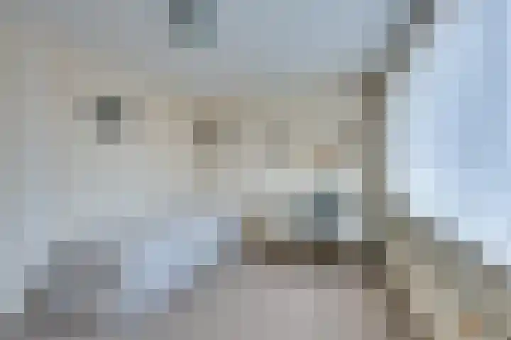 Hermesplantsoen 5 Volendam thumbnail 31