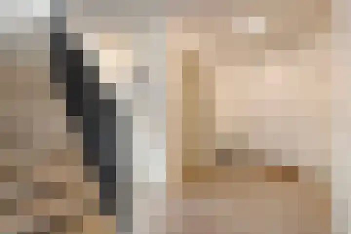 Hermesstraat 1 A Krommenie thumbnail 6
