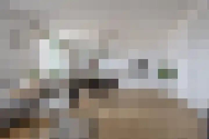 Hermesstraat 18 Krommenie thumbnail 10
