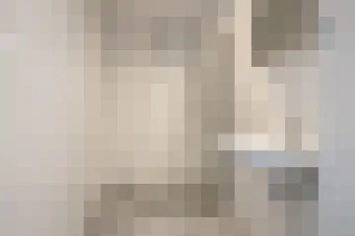 Hermesstraat 18 Krommenie thumbnail 17