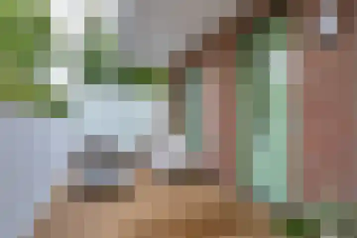 Hermesstraat 18 Krommenie thumbnail 22