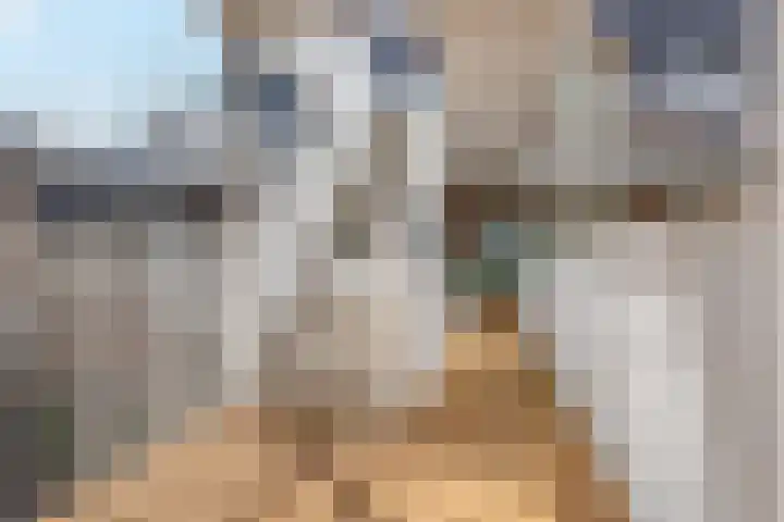 Hermesstraat 18 Krommenie thumbnail 23