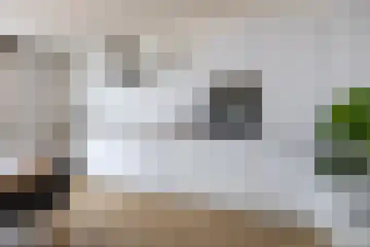 Hermesstraat 18 Krommenie thumbnail 4