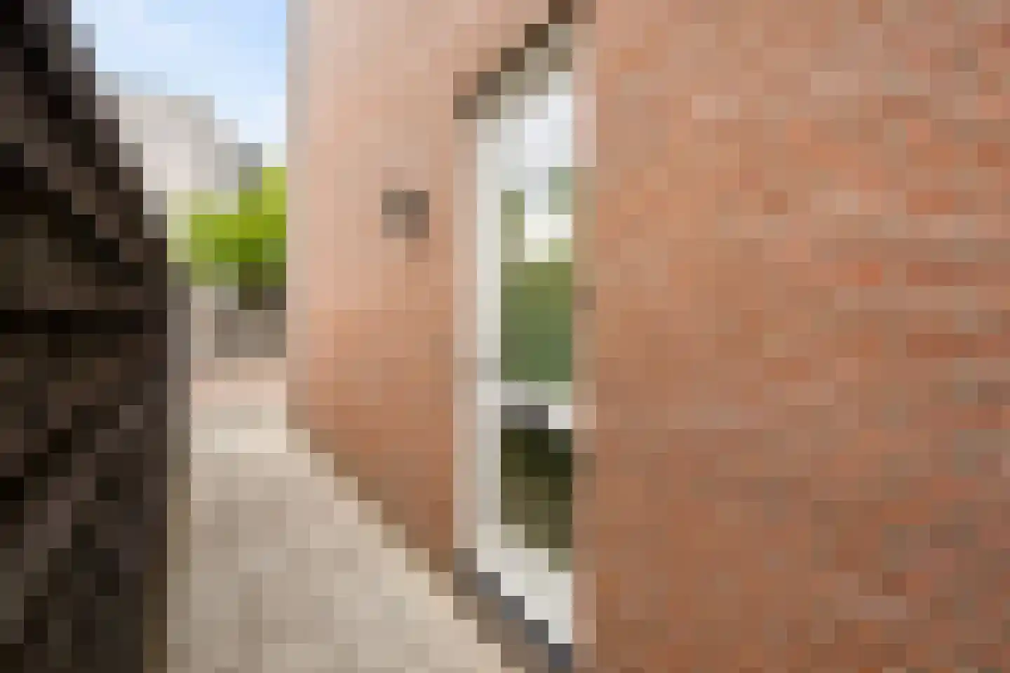 Hermesstraat 19 Almere thumbnail 28