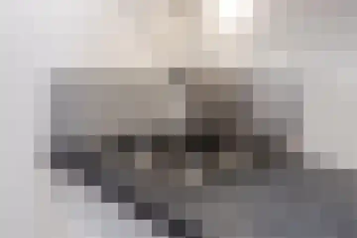 Hermesstraat 2 d 1 Krommenie thumbnail 14