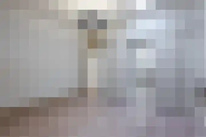 Hermesstraat 2 d 1 Krommenie thumbnail 17