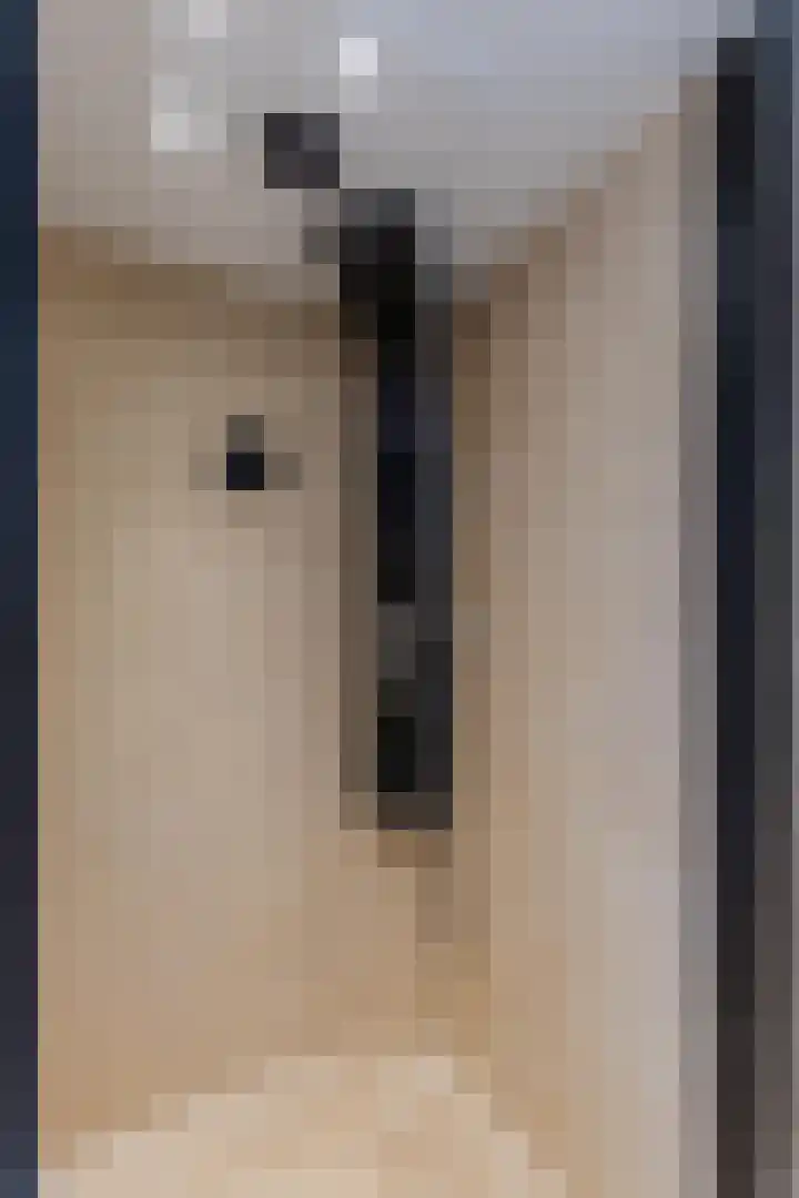 Hermesstraat 2 d 1 Krommenie thumbnail 21