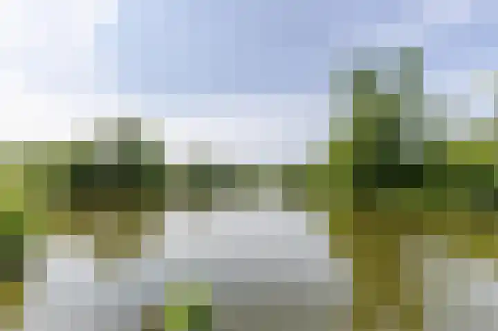 Hermesstraat 2 d 1 Krommenie thumbnail 28