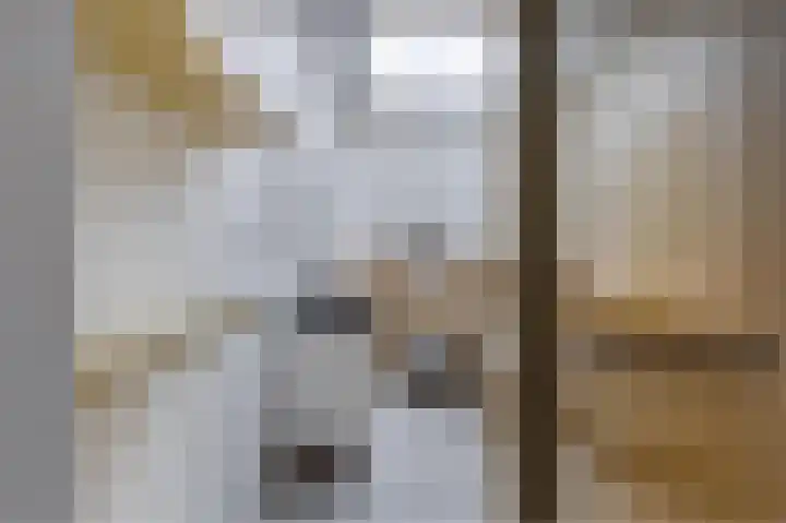 Hermesstraat 2 d 1 Krommenie thumbnail 4