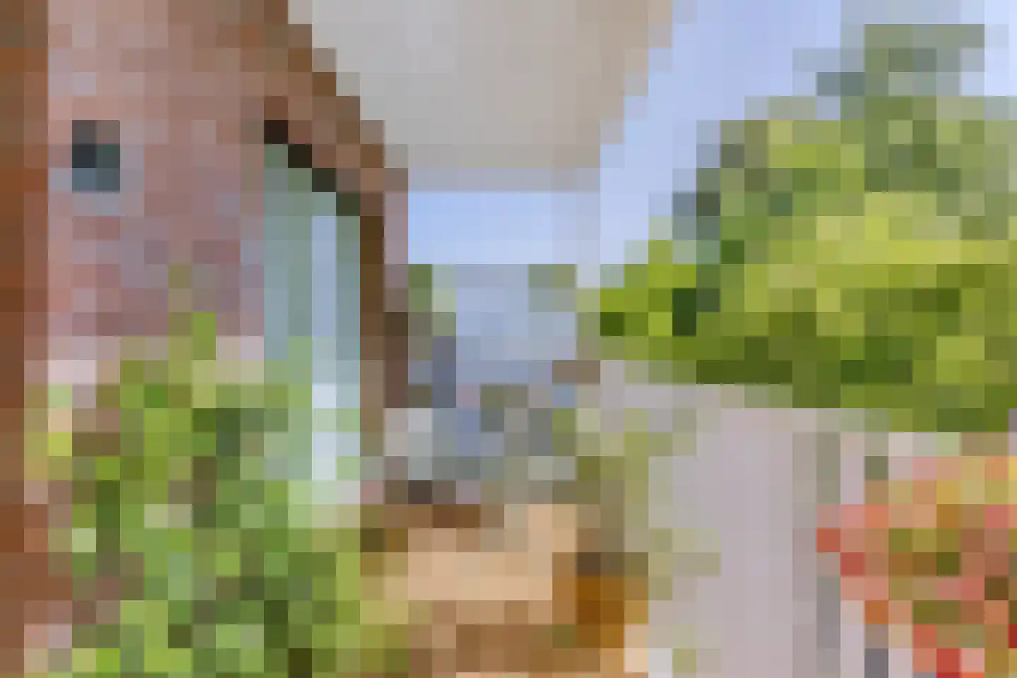 Hermesstraat 24 Krommenie thumbnail 22