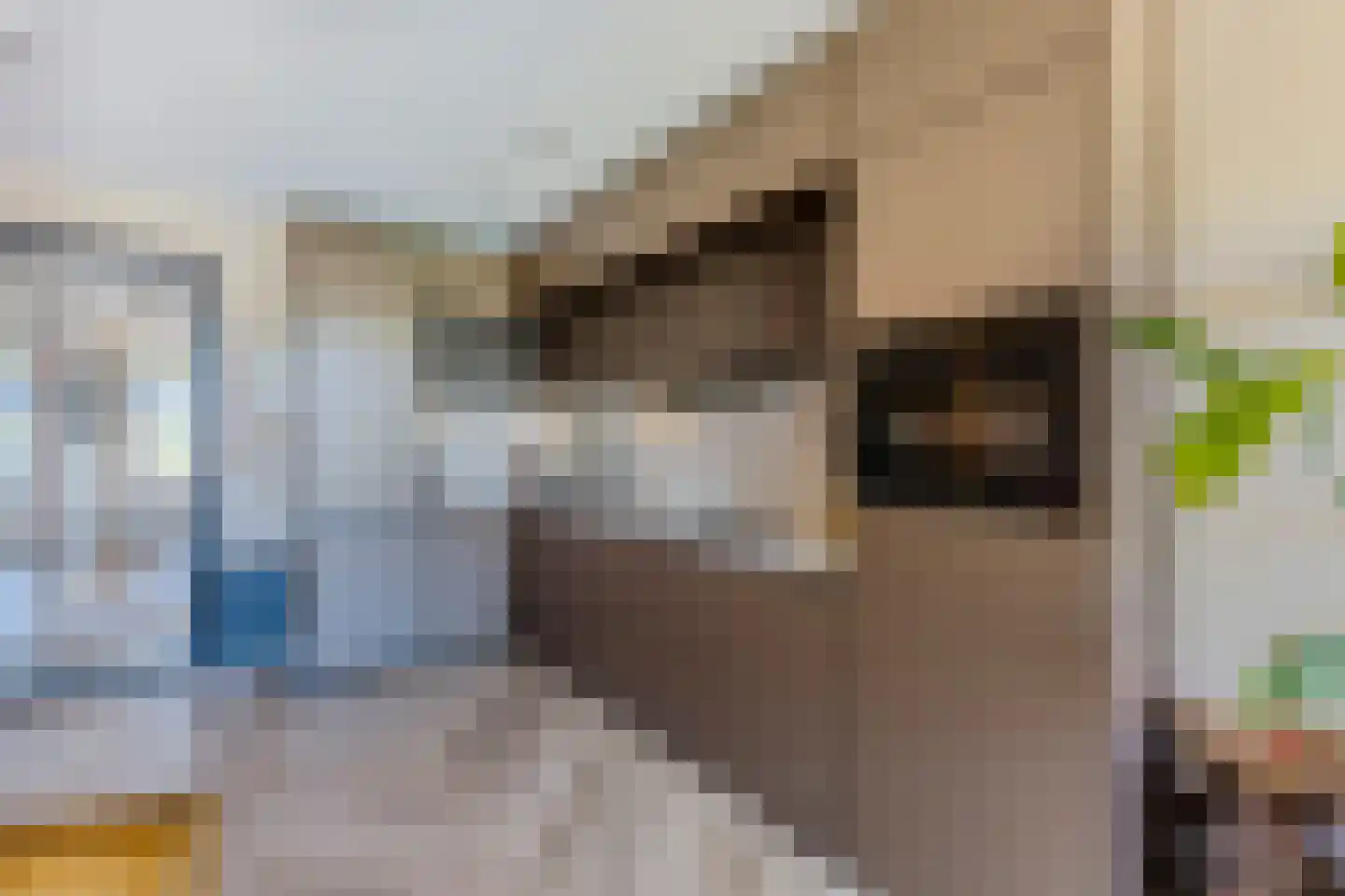 Hermesstraat 24 Krommenie thumbnail 7