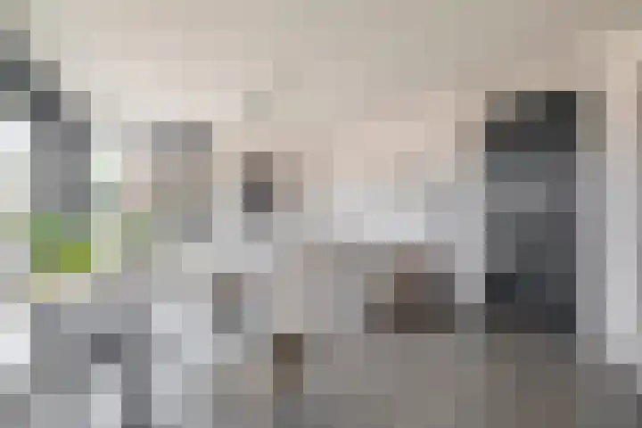 Hermesstraat 4 A Krommenie thumbnail 9