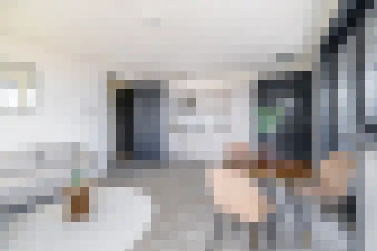 Hermesstraat 4 C Krommenie thumbnail 10