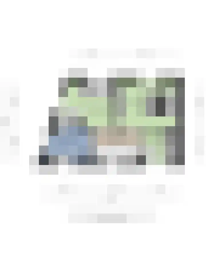 Hermesstraat 51 Hengelo thumbnail 34