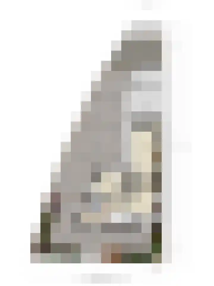 Hermesstraat 51 Hengelo thumbnail 37