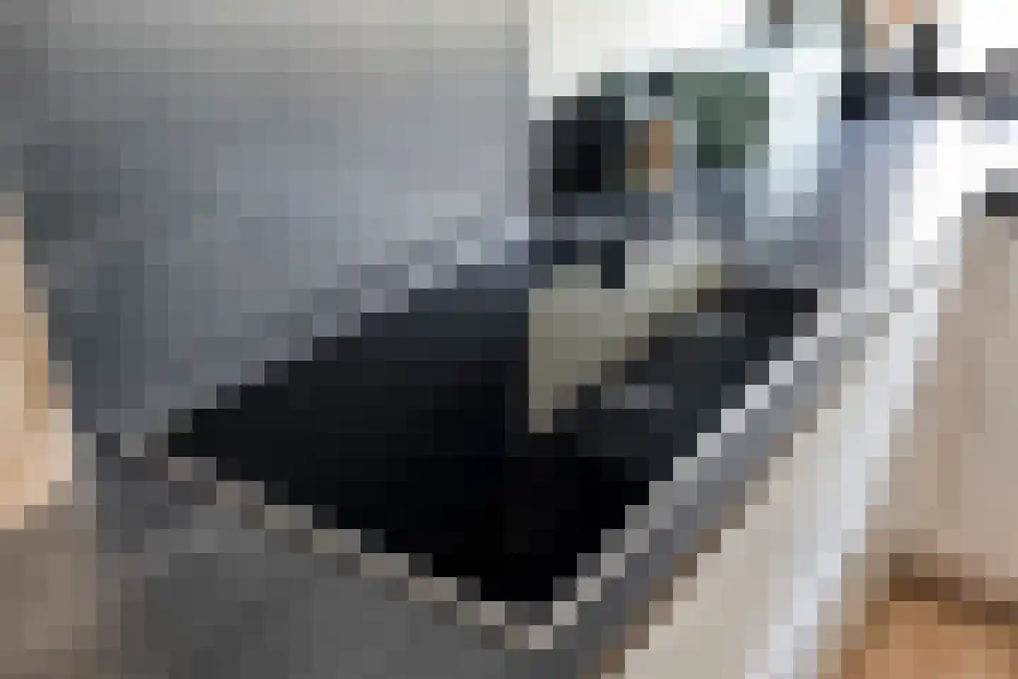Hermesstraat 59 Hengelo thumbnail 18