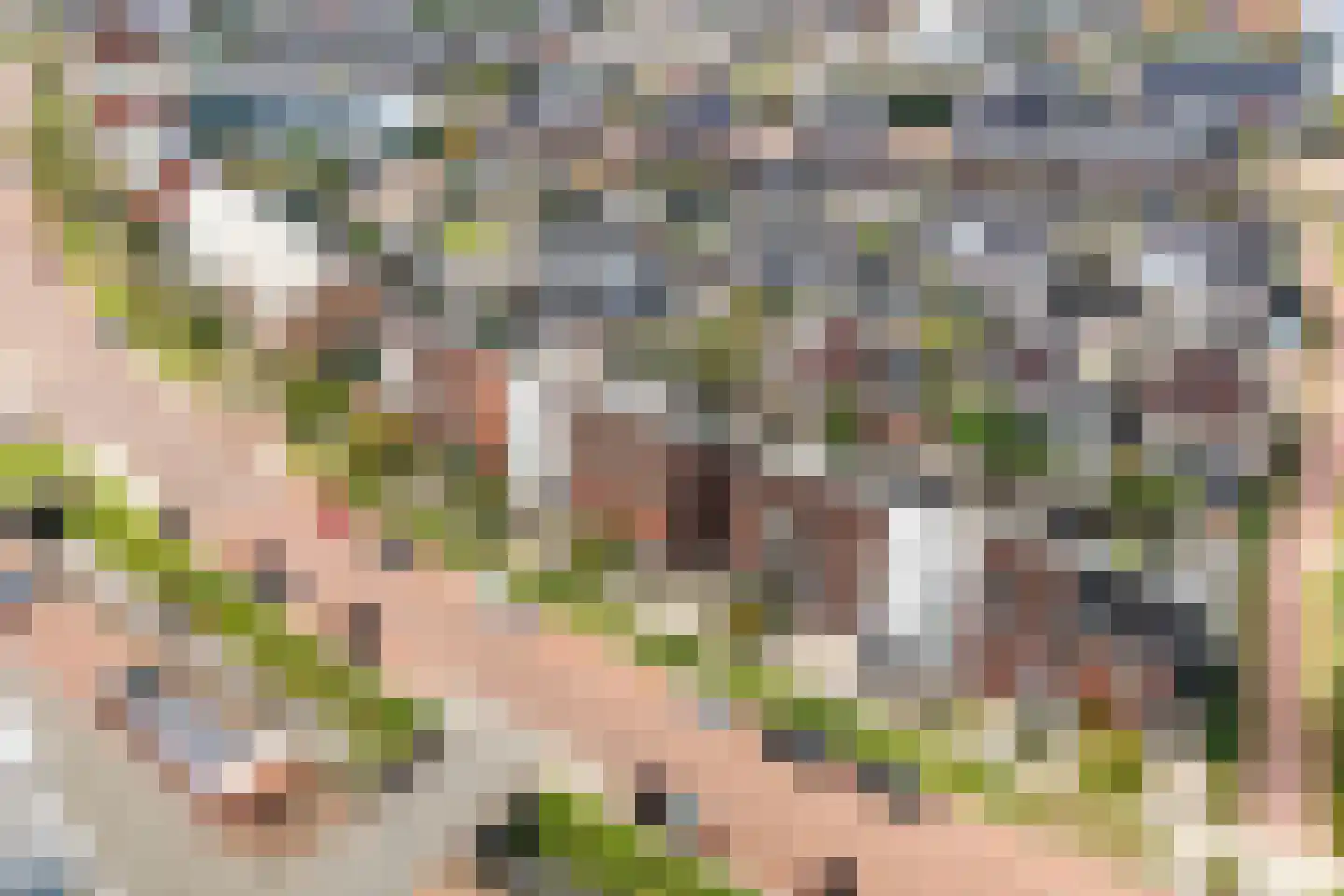 Hermesstraat 59 Hengelo thumbnail 8