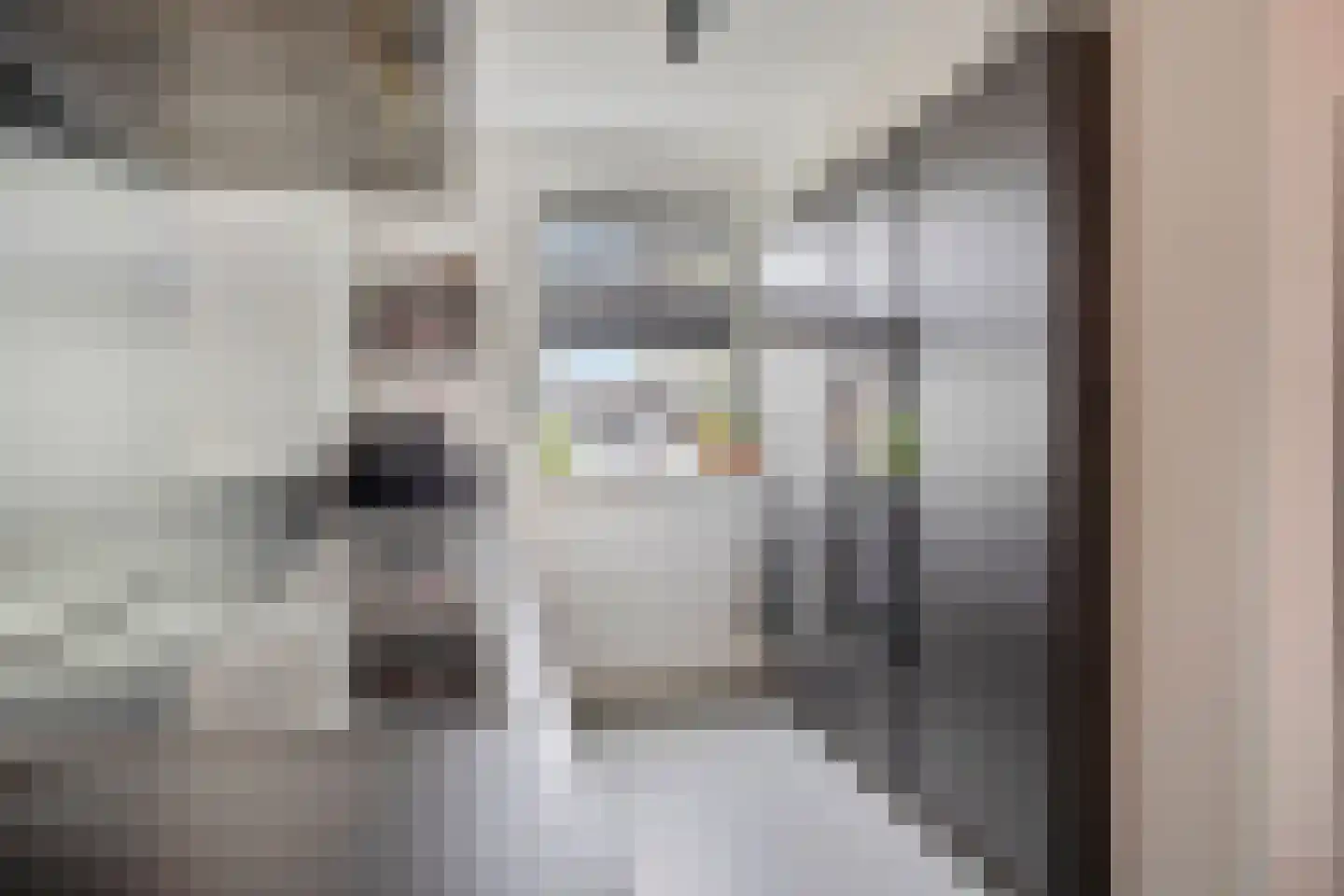 Hermesstraat 65 Hengelo thumbnail 14