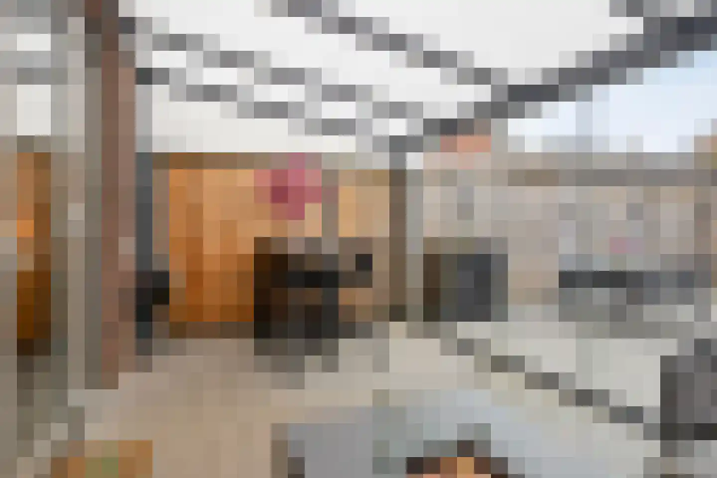 Hermesstraat 65 Hengelo thumbnail 29