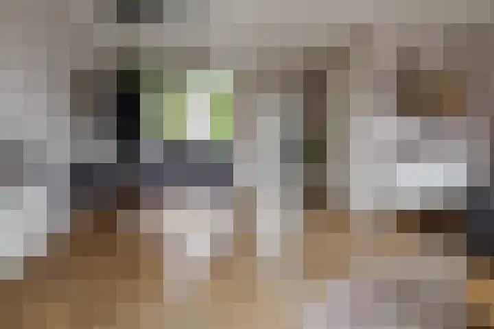 Hermesstraat 69 Hengelo thumbnail 10