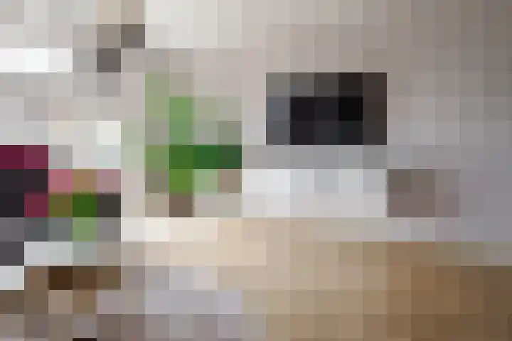 Hermesstraat 69 Hengelo thumbnail 12