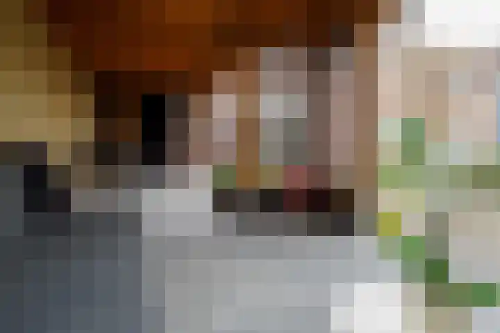 Hermesstraat 69 Hengelo thumbnail 31
