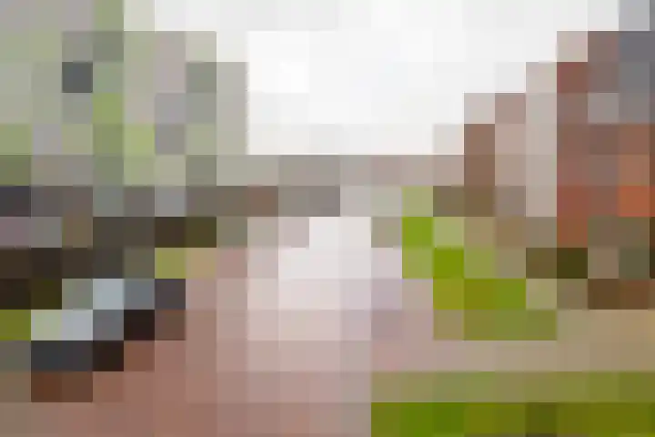 Hermesstraat 69 Hengelo thumbnail 33