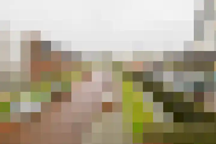 Hermesstraat 69 Hengelo thumbnail 35