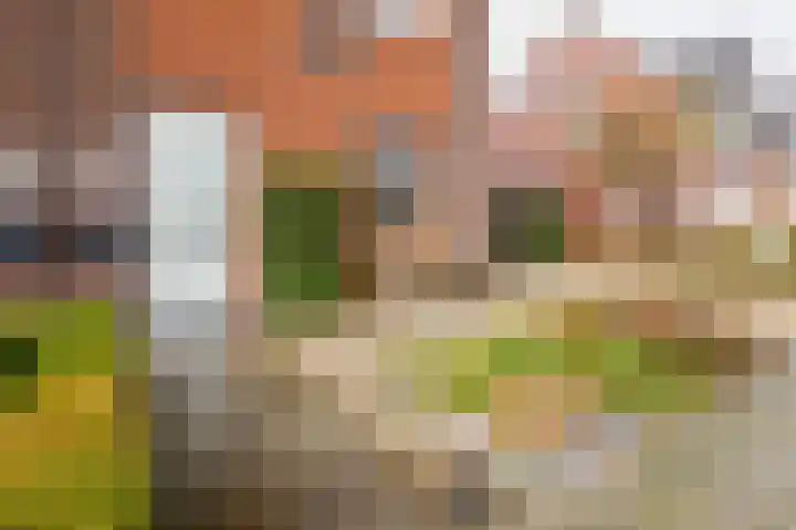 Hermesstraat 69 Hengelo thumbnail 37