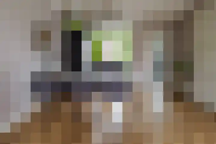 Hermesstraat 69 Hengelo thumbnail 9