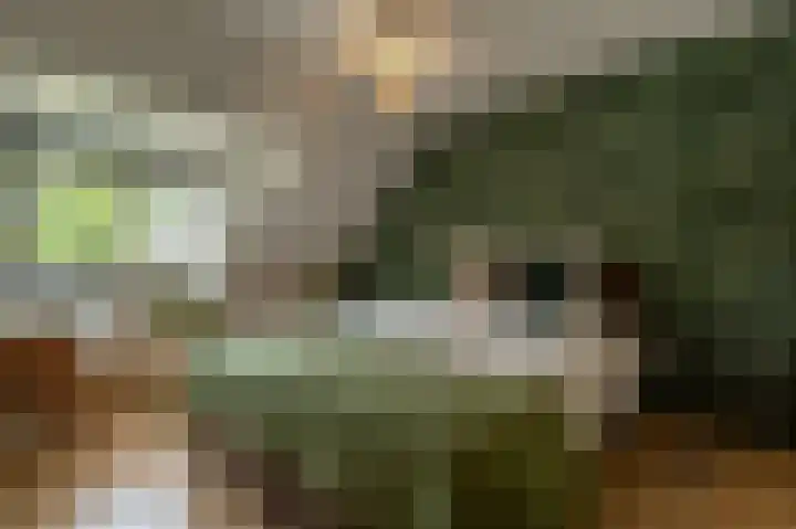Hermesweide 11 Westmaas thumbnail 16