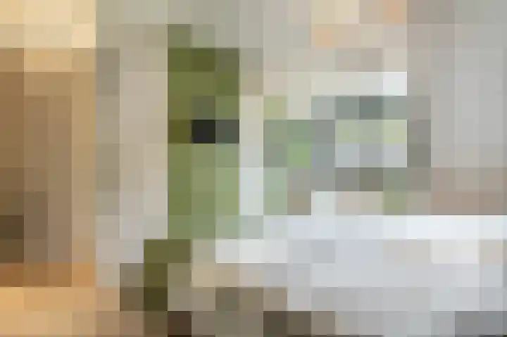 Hermesweide 11 Westmaas thumbnail 17
