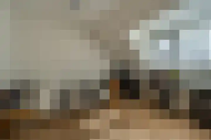 Hermesweide 11 Westmaas thumbnail 18