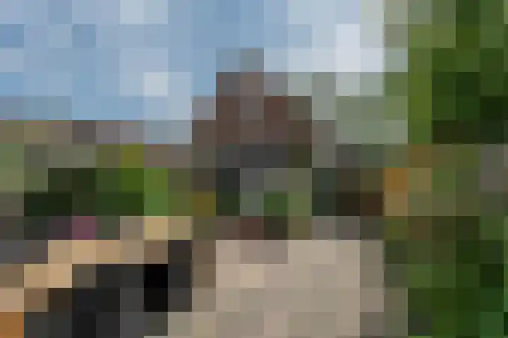 Hermesweide 11 Westmaas thumbnail 26
