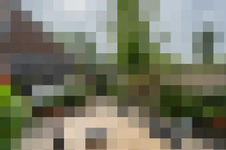 Hermesweide 11 Westmaas thumbnail 27