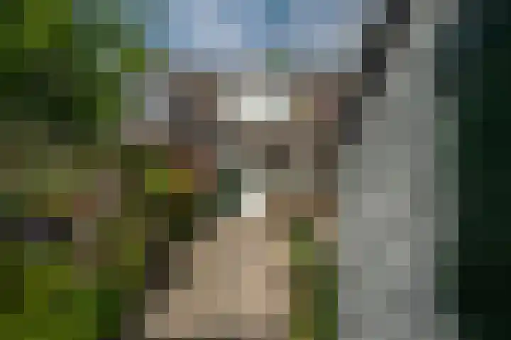 Hermesweide 11 Westmaas thumbnail 28