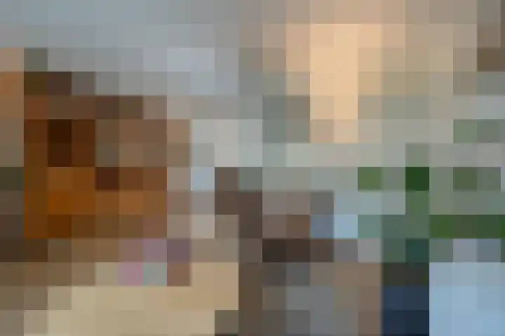 Hermesweide 11 Westmaas thumbnail 6