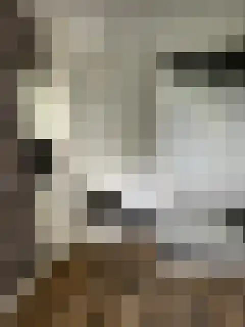 Hermine Moquettestraat 20 Rotterdam thumbnail 18